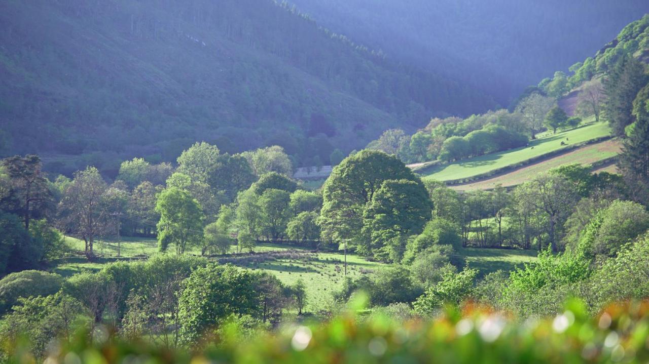 Kilsby Cottage Llanwrtyd Wells Екстериор снимка